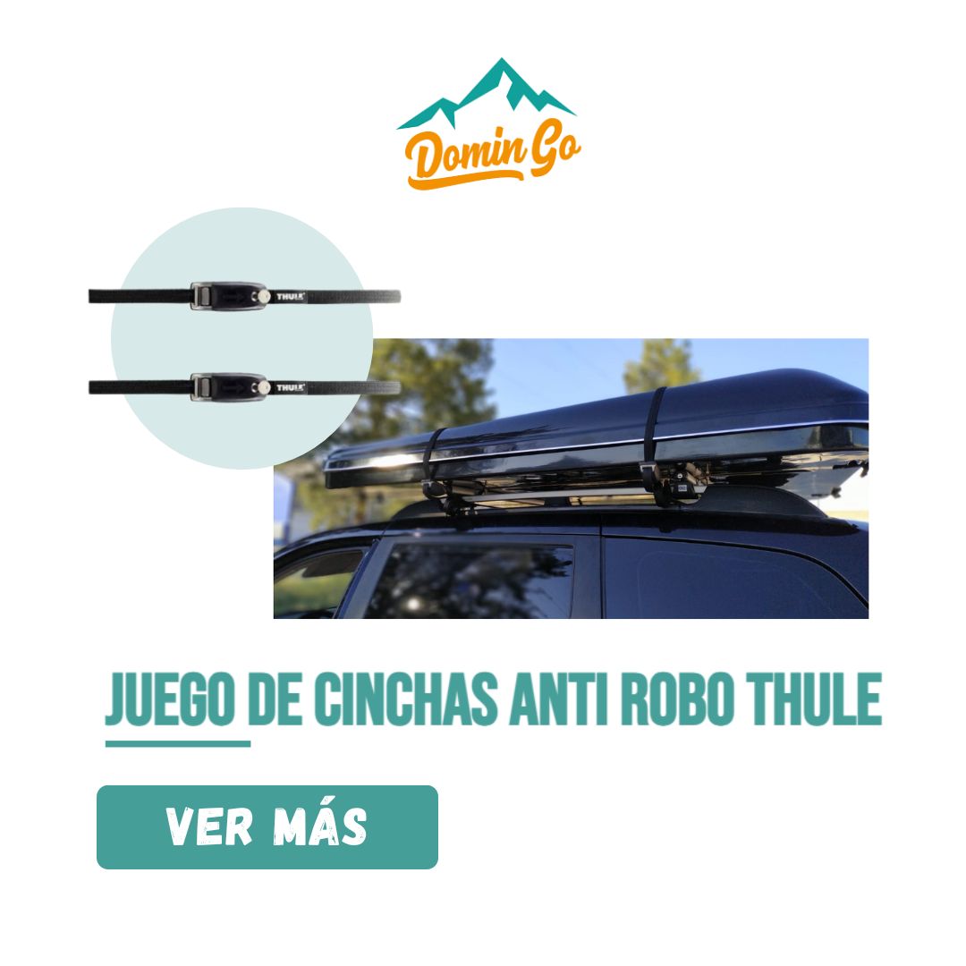cinchas antirobo tiendadetecho